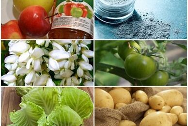 علاجات الناس لعلاج الدوالي